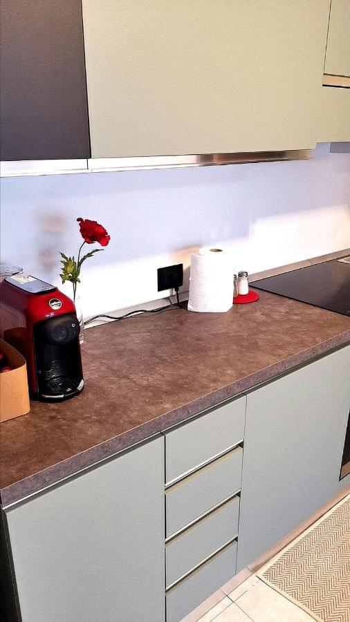 Rosolina Apartment المظهر الخارجي الصورة